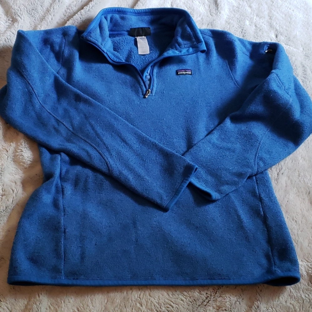 Blue Patagonia fleece lined sweater